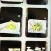 7 mini bags--Jen