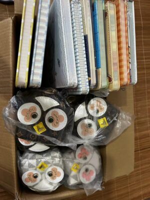 9 notebooks & 11 owl bag keychains---Jen